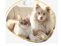 Tiere Produkte